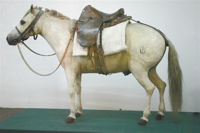 陕西是延安精神的发祥地,红军长征的落脚点,在中国革命史上占有重要