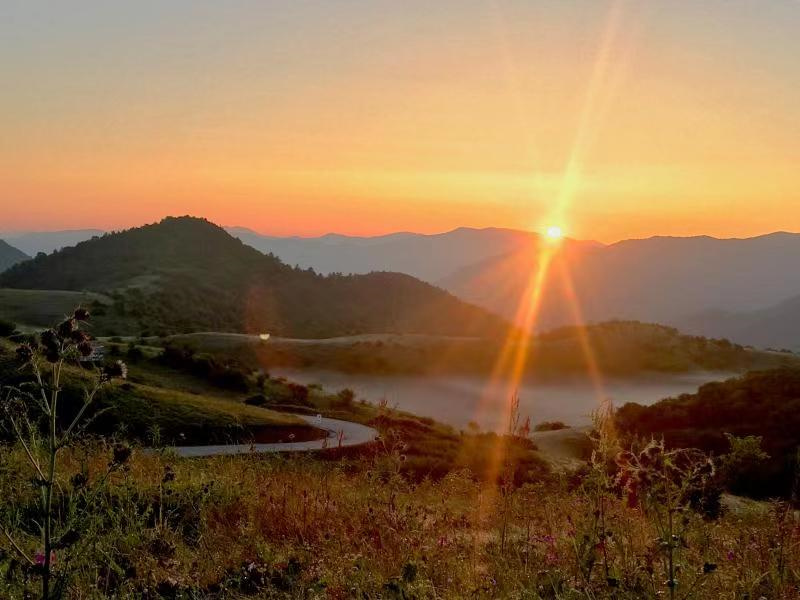 寻找陕西最美生态空间 | 正阳高山草甸