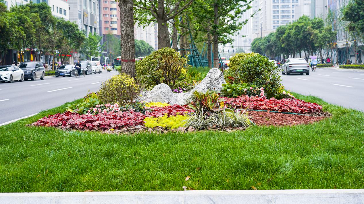 西安高新区"最美街道"上"新"了