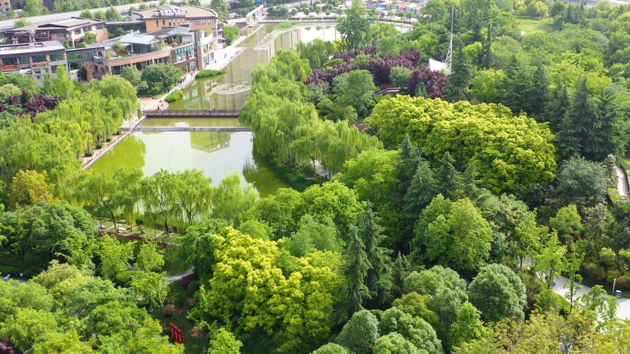 西安高新区还将对现有的新纪元公园,梁家滩运动公园,皂河公园南段