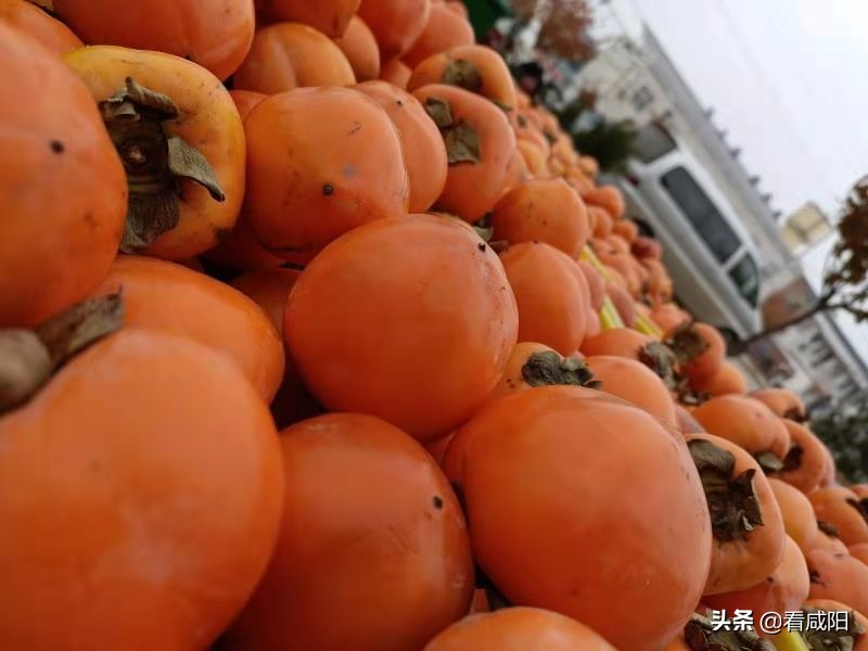 【增量提质保预期】彬州:“柿”丰收,是真金白银,也是火红产业