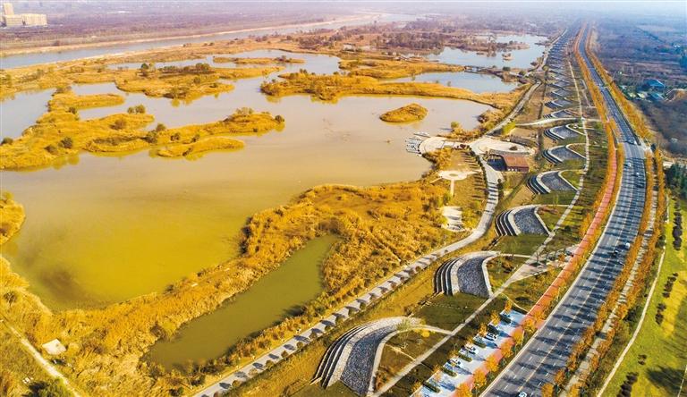 湿地公园引鸟来(图2)