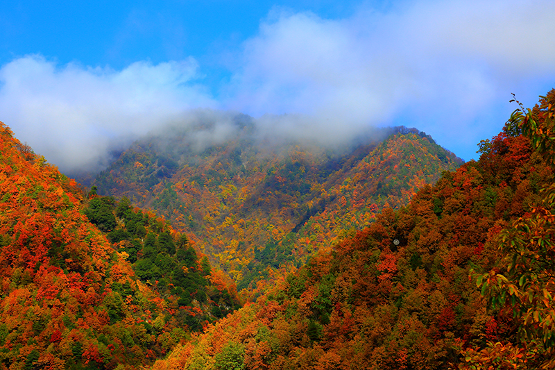 “寻找陕西最美生态空间”结果出炉