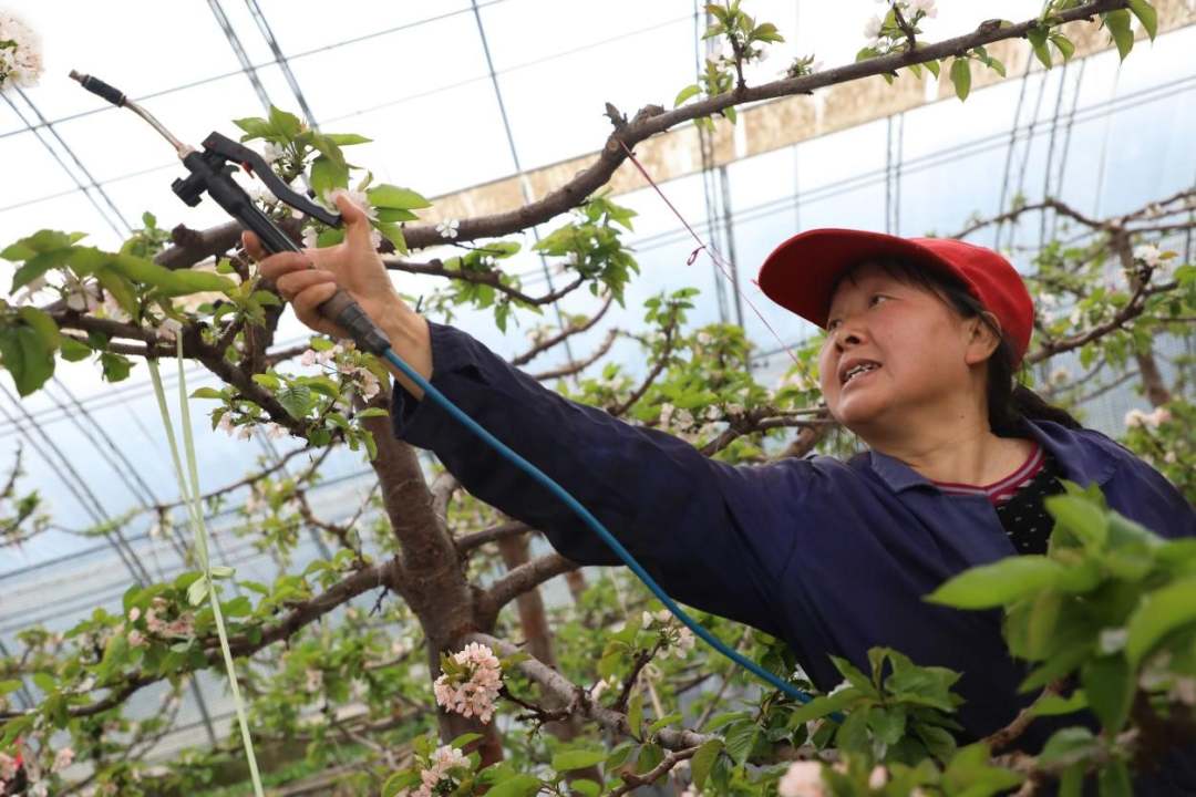 3.jpg?x-oss-process=style/w10