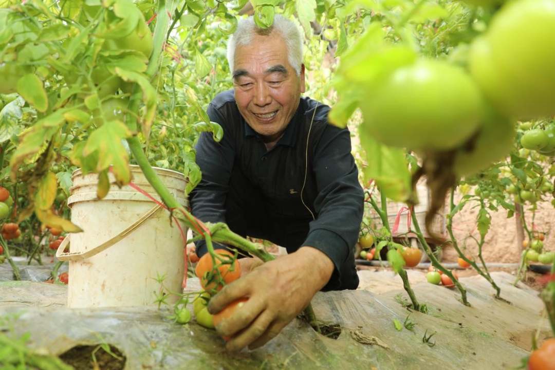 1.jpg?x-oss-process=style/w10