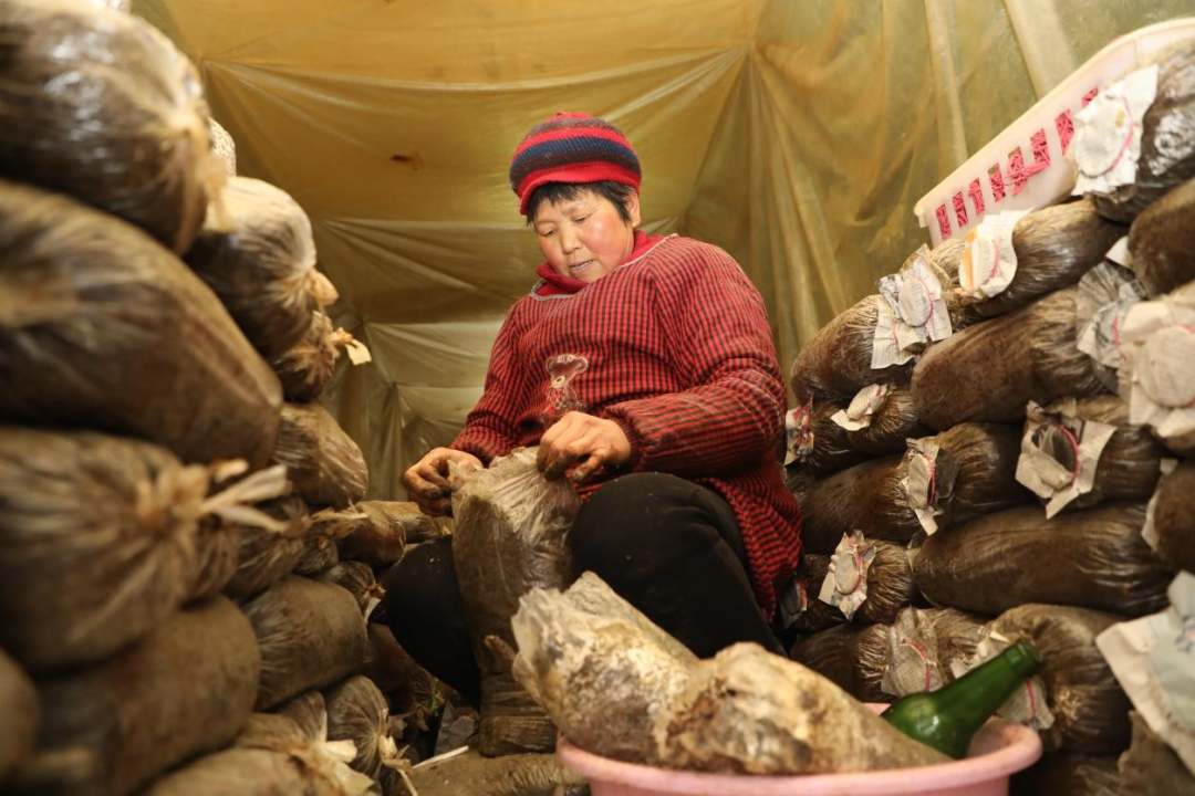 4.jpg?x-oss-process=style/w10