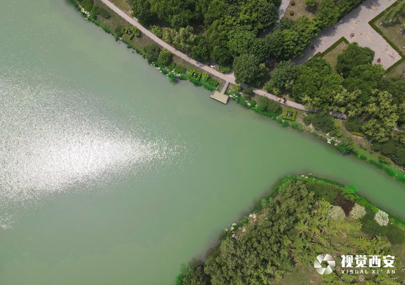 binary_middle (4).jpg