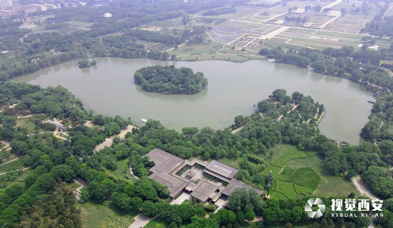 binary_middle (2).jpg