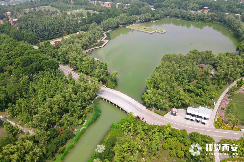 binary_middle (3).jpg