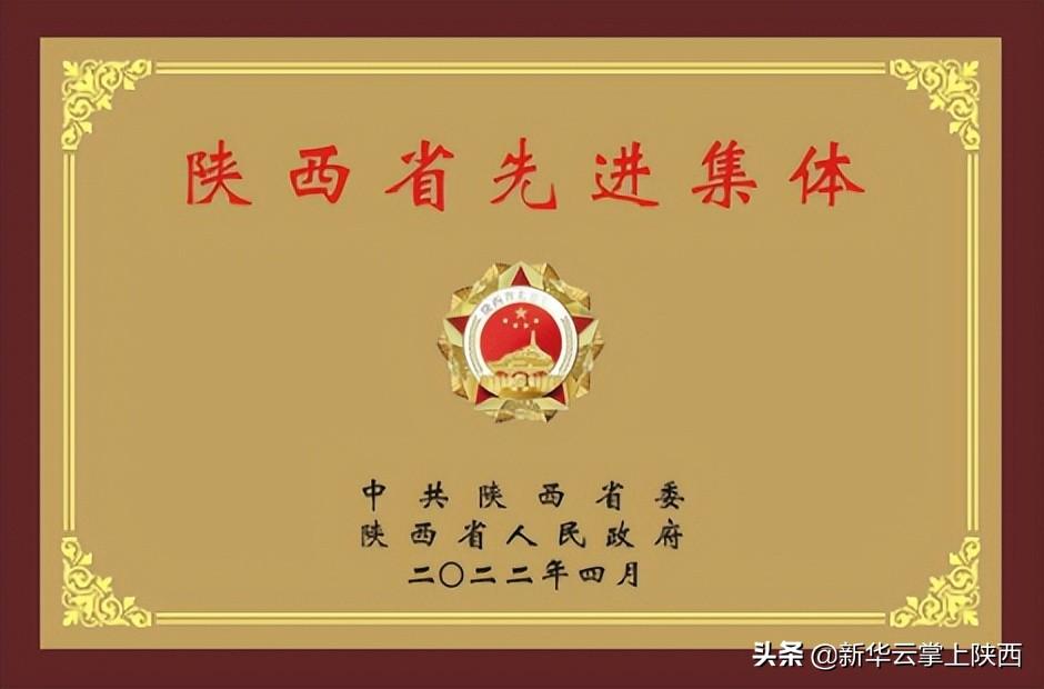 寶雞市婦幼保健院榮獲“陜西省先進(jìn)集體”