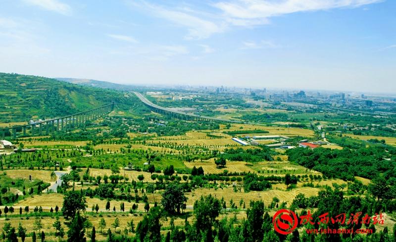 23伫立南塬坡头鸟瞰绿色渭南