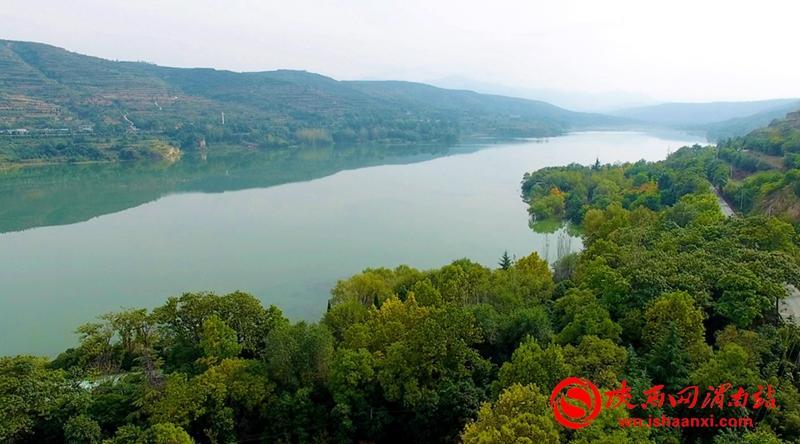 沋河湿地水源涵养林