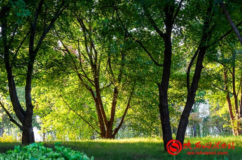 10e89529549fcbe428641a7308867c7