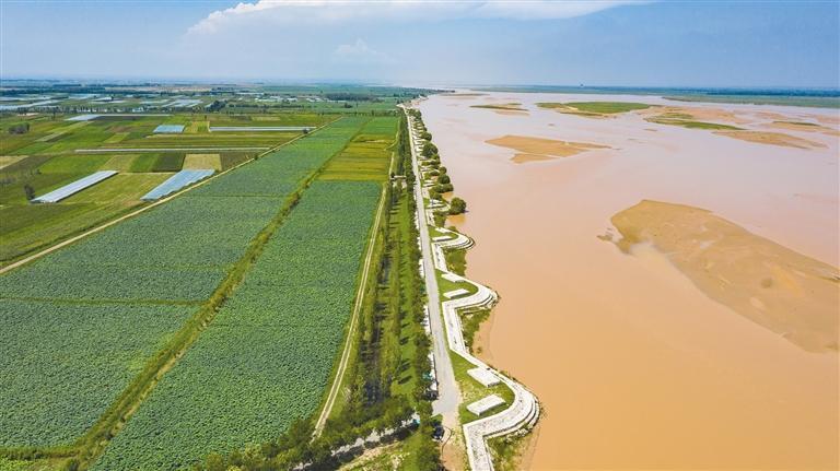 黄河防洪不松懈