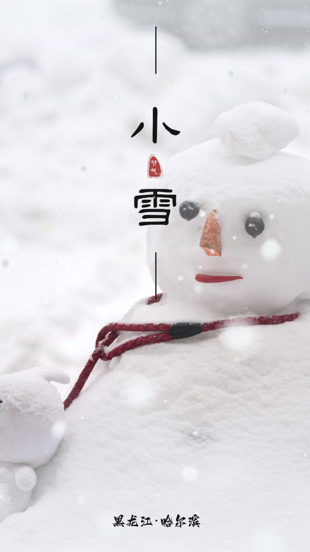 小雪丨你再不来我要下雪了