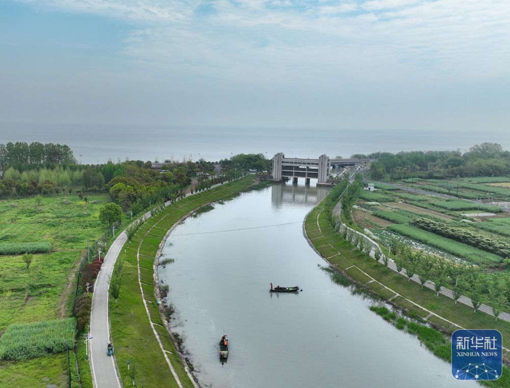 4月11日,河道保洁员在位于浙江湖州的太湖罗溇港沿岸清理非法捕鱼地笼