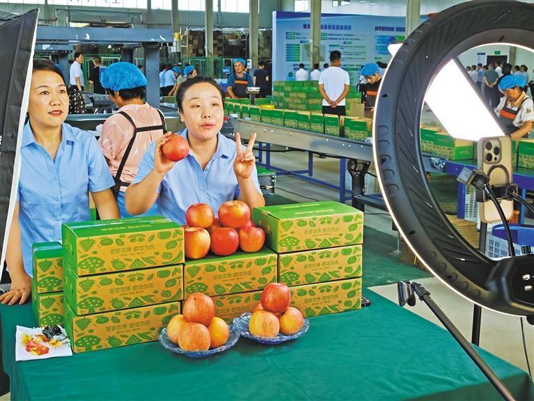 铜川：延伸产业链 收成“致富果”