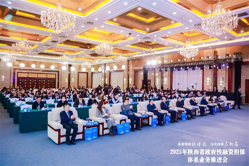西安中小企业排名_陕西省政府性融资担保体系_2025年业务推进会议