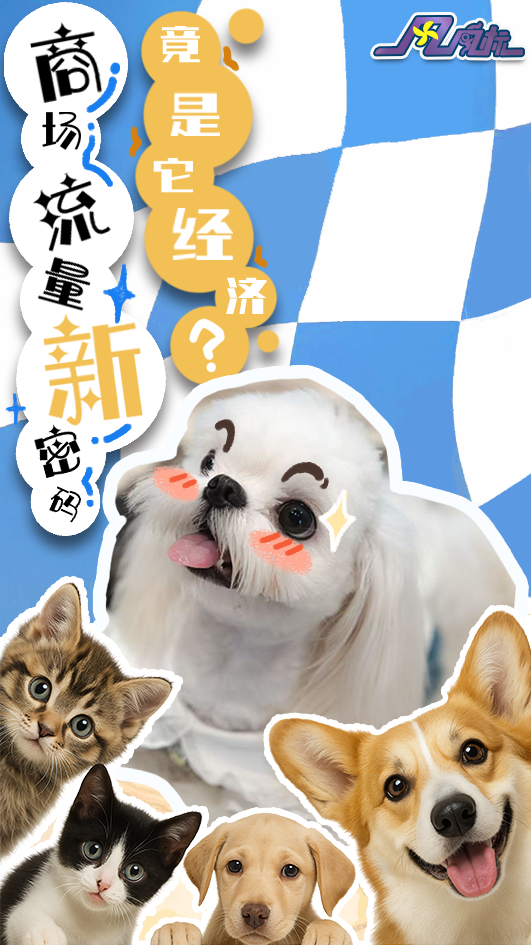 風向標丨商場流量新密碼，竟是“它經濟”？