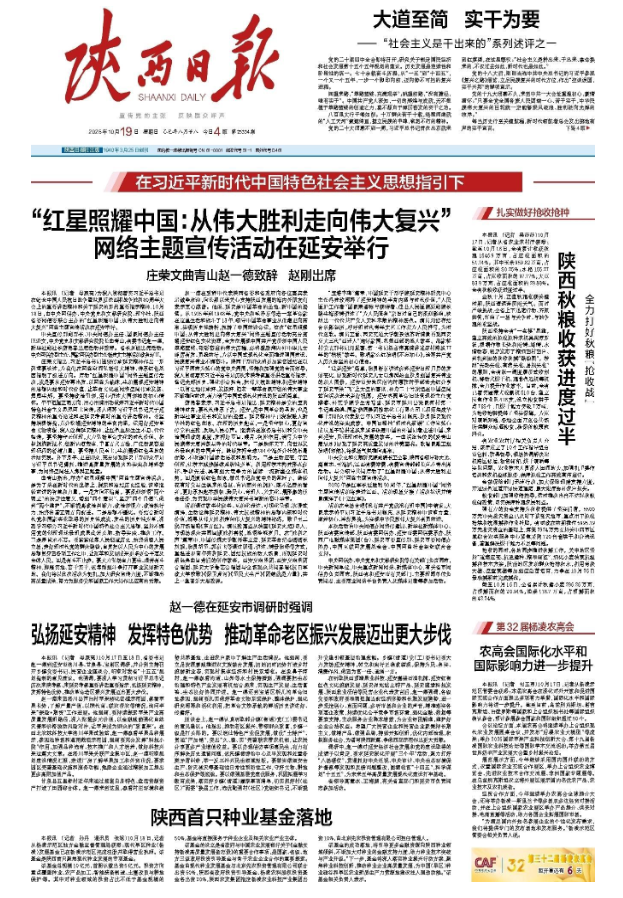 数字报