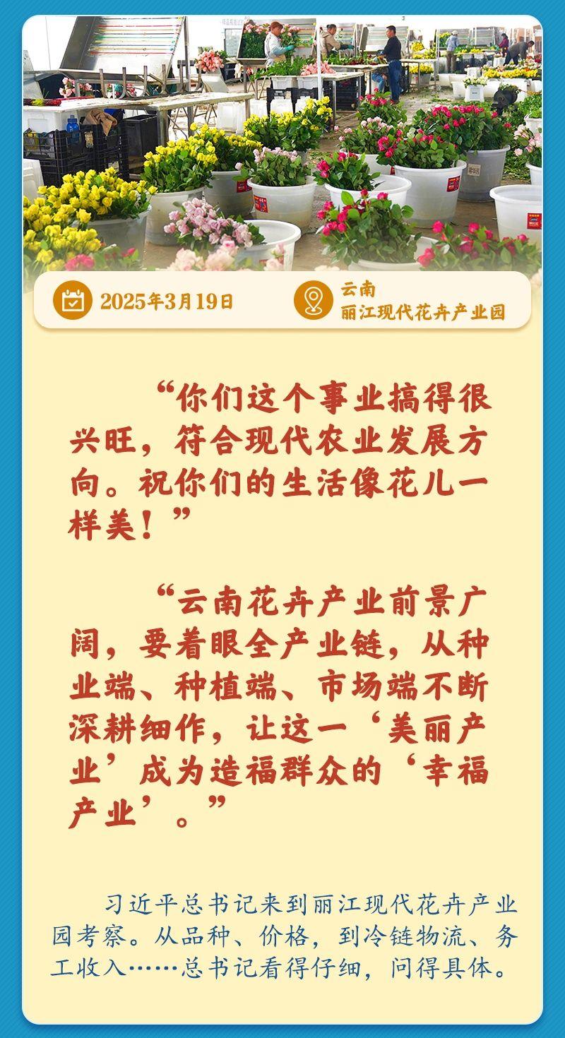 学习新语|总书记引领推动乡村振兴迈出坚实步伐