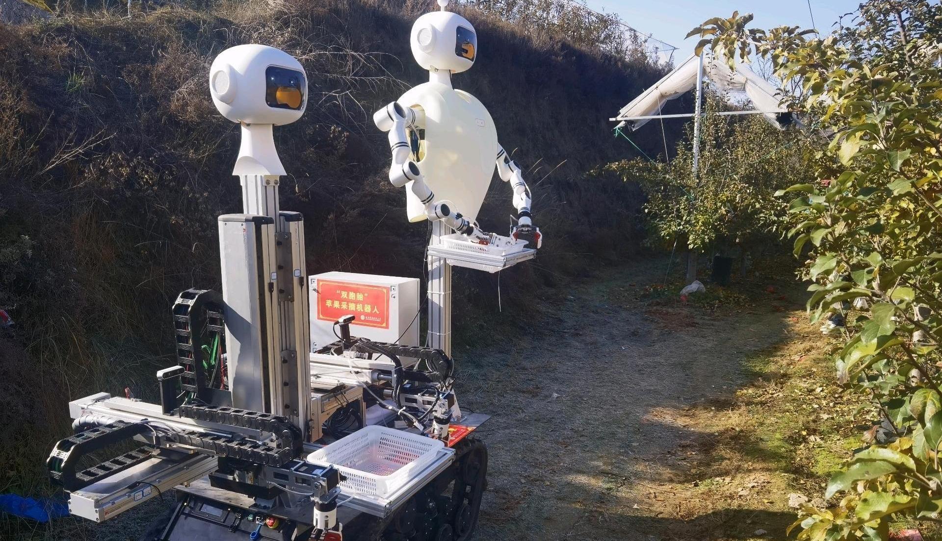 陜西蘋果的“新三變”