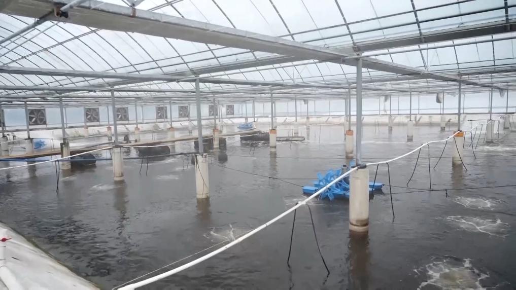 新华视点丨乡村振兴中的青春力量(图8)