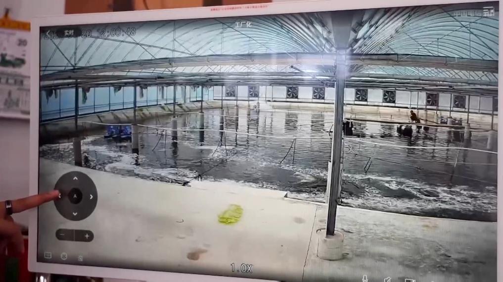 新华视点丨乡村振兴中的青春力量(图7)