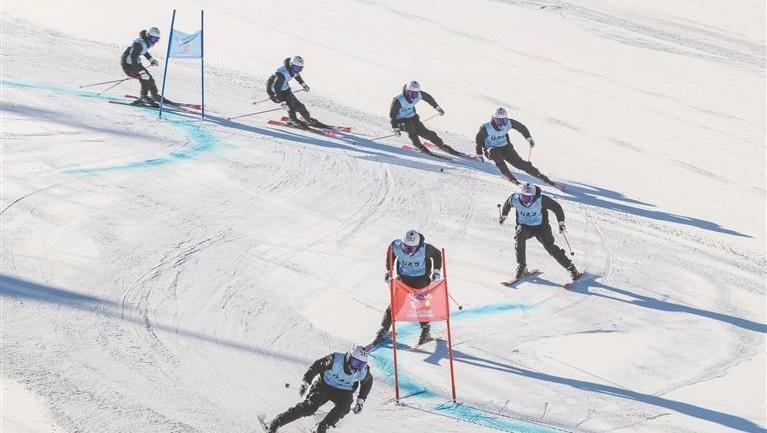 雪道逐梦 青春出彩 省一冬会高校学子高山滑雪赛场展风采