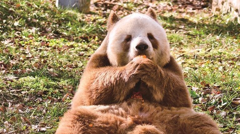 守护国宝中的“美人”