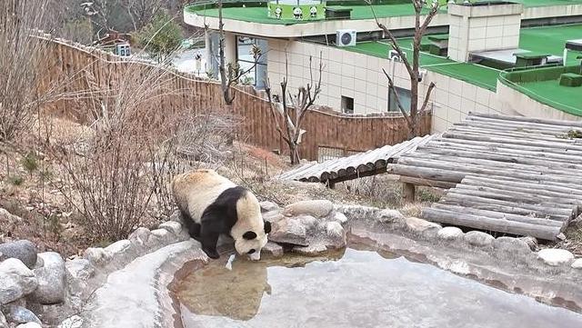 秦岭深处有“家人”