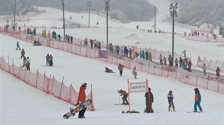 从“一季热”到“四季忙”