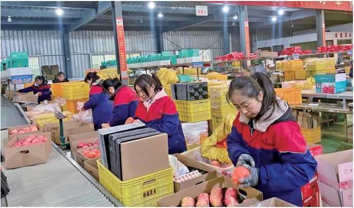 一颗苹果的数智化升级之路