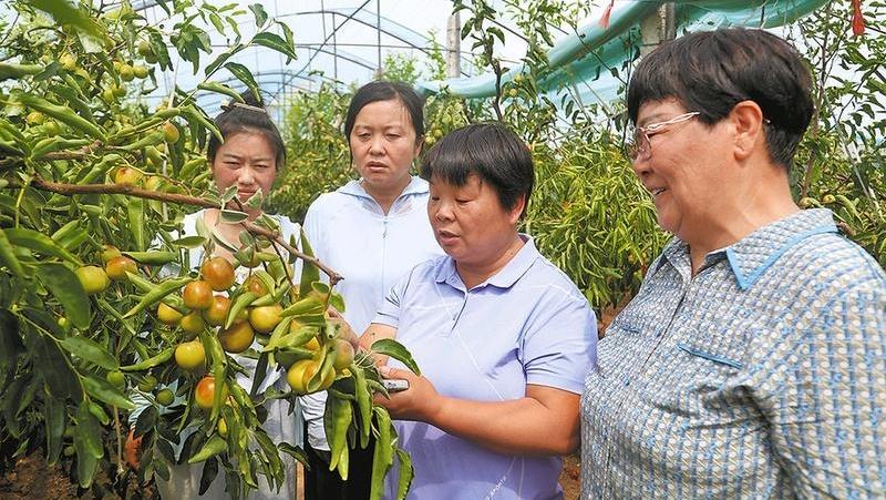 周爱英：为了乡亲们的香甜日子