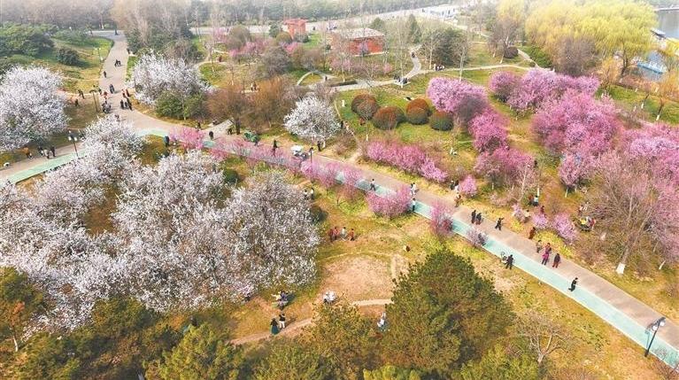 春日繁花满长安