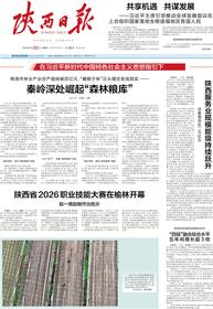 数字报
