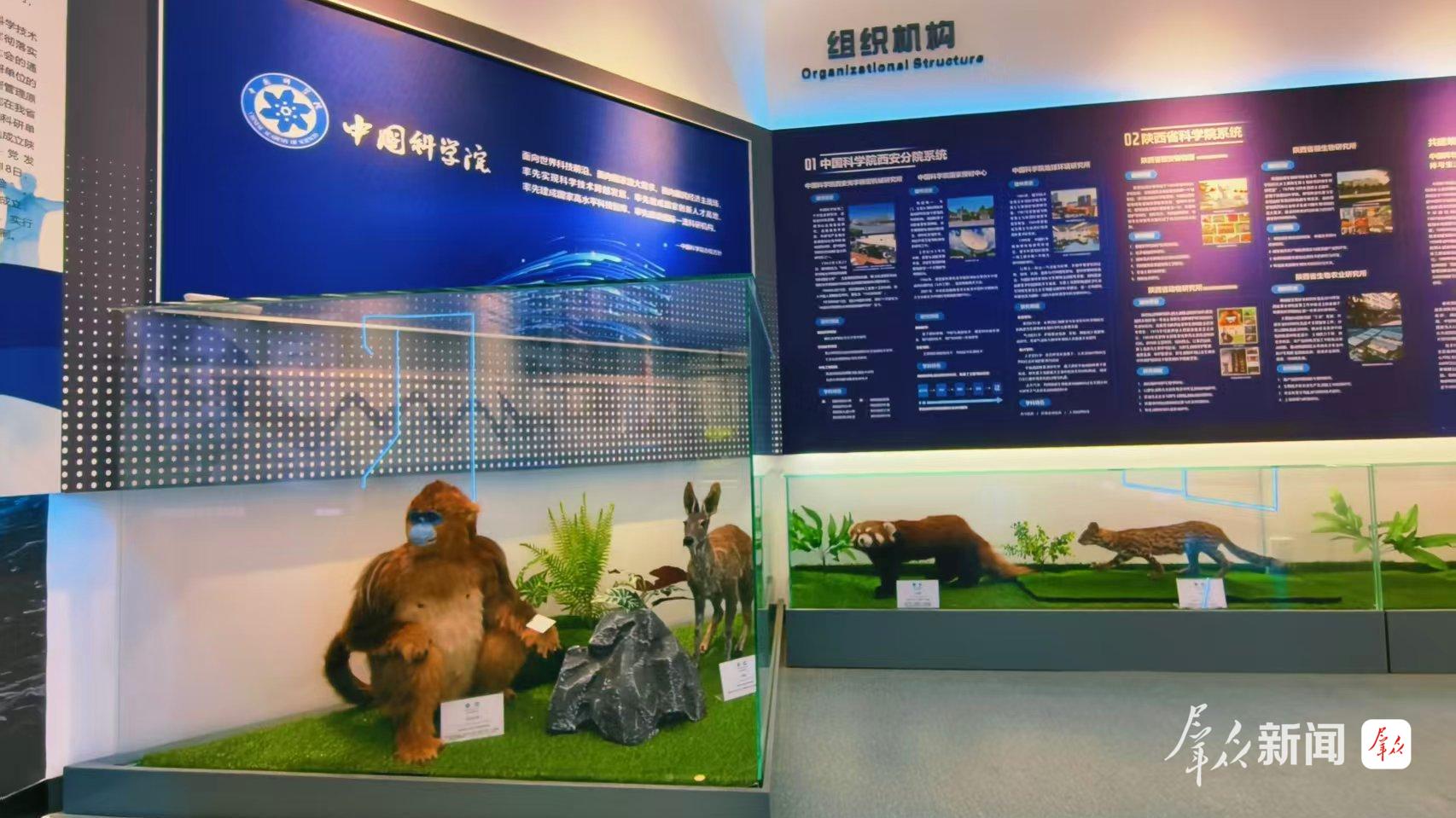 陕西省科学院展厅。群众新闻记者 张梅 摄