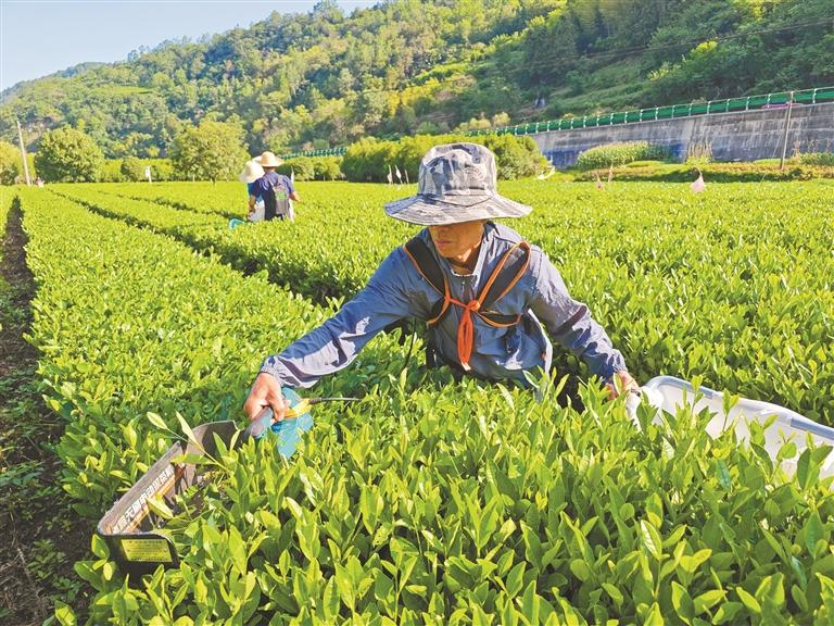 土地不闲人更忙