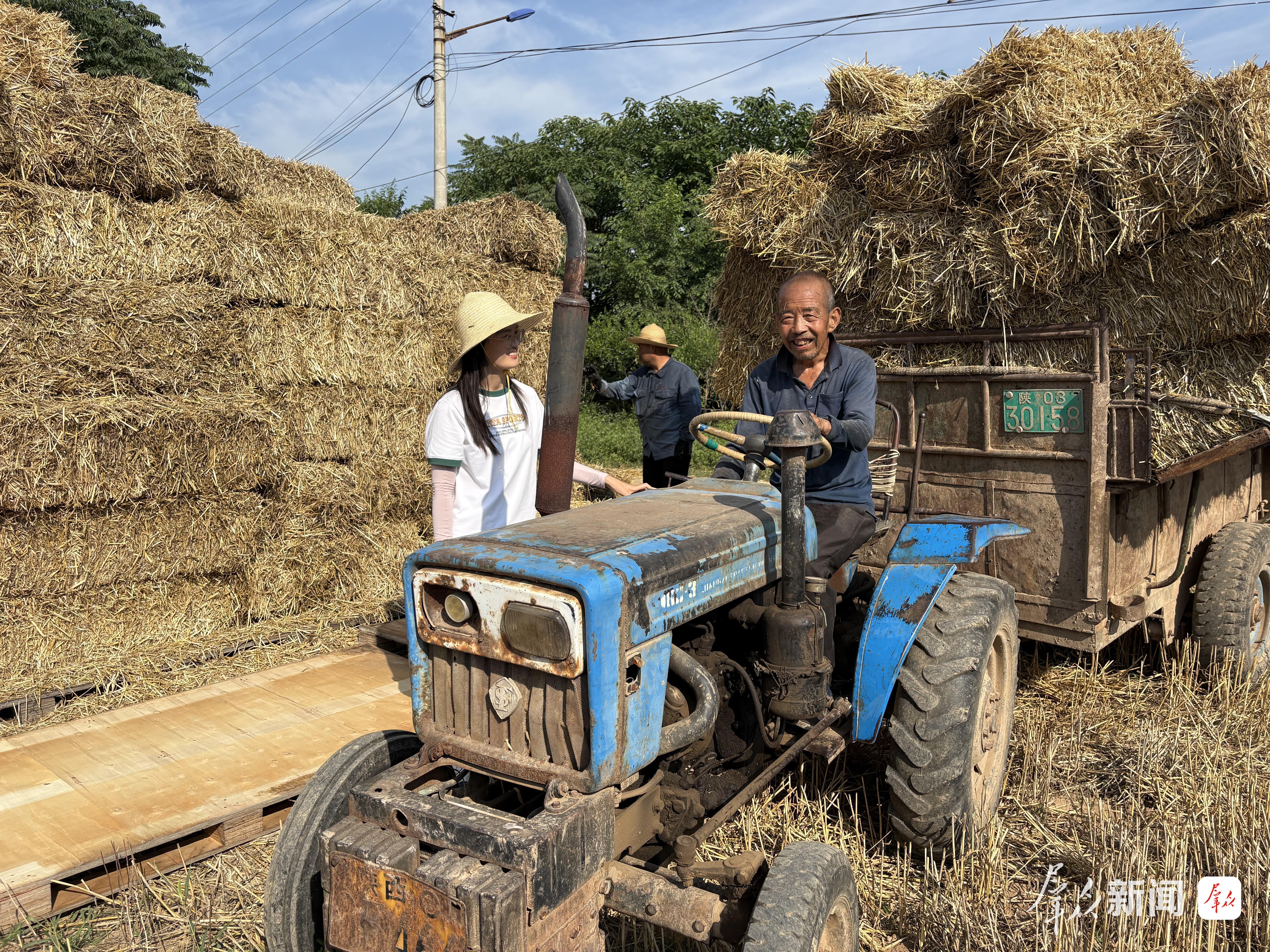 宝鸡市凤翔区长青镇长青村驻村干部深入田间地头实地察看群众夏收情况。