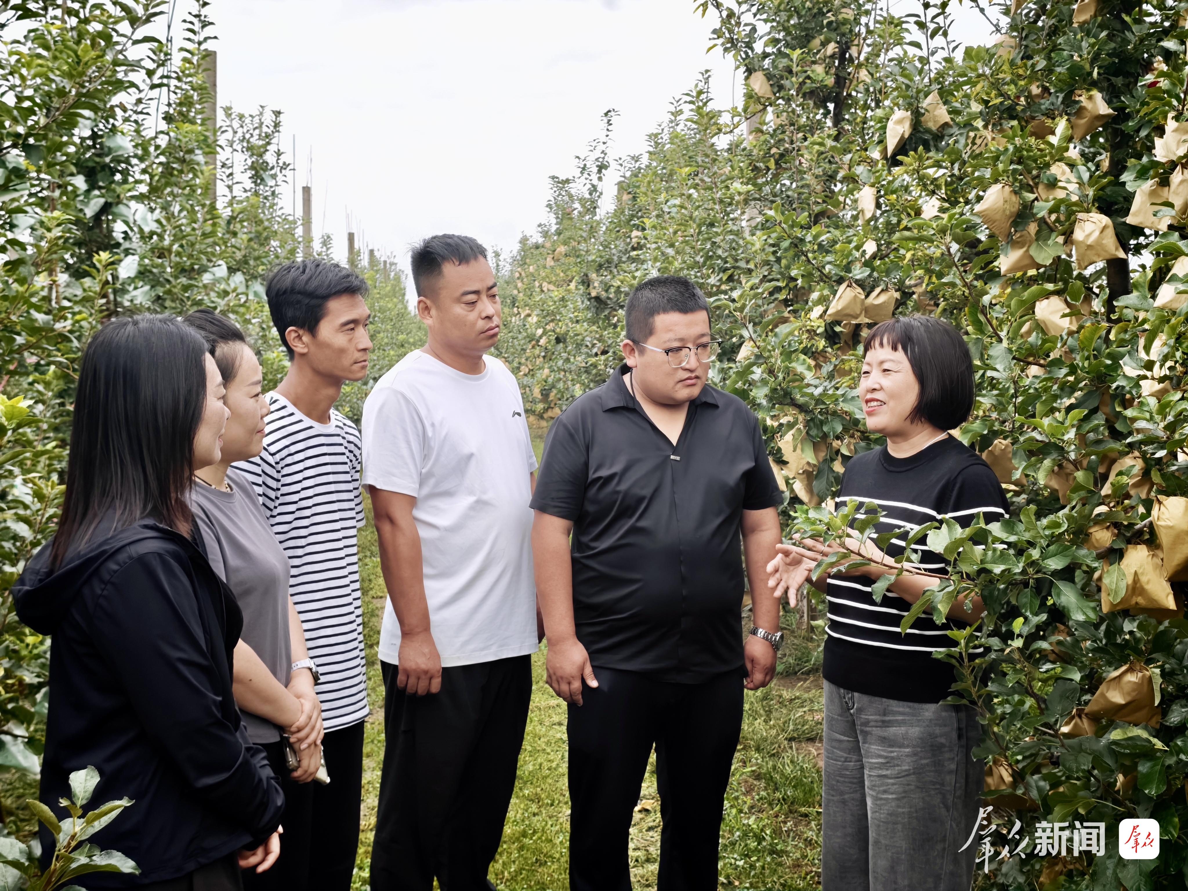 范家寨镇年轻干部参加农产品电子商务培训。