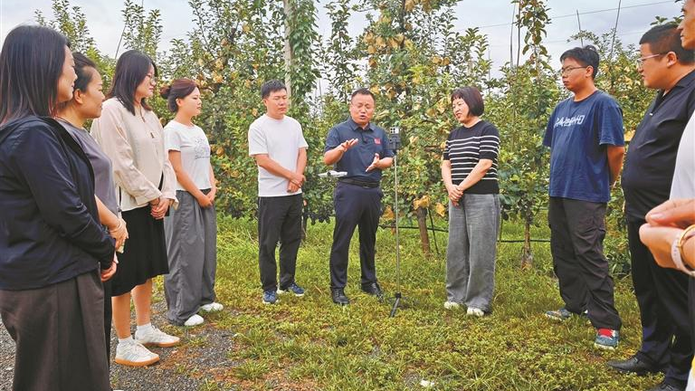 乡镇有了“强磁场”