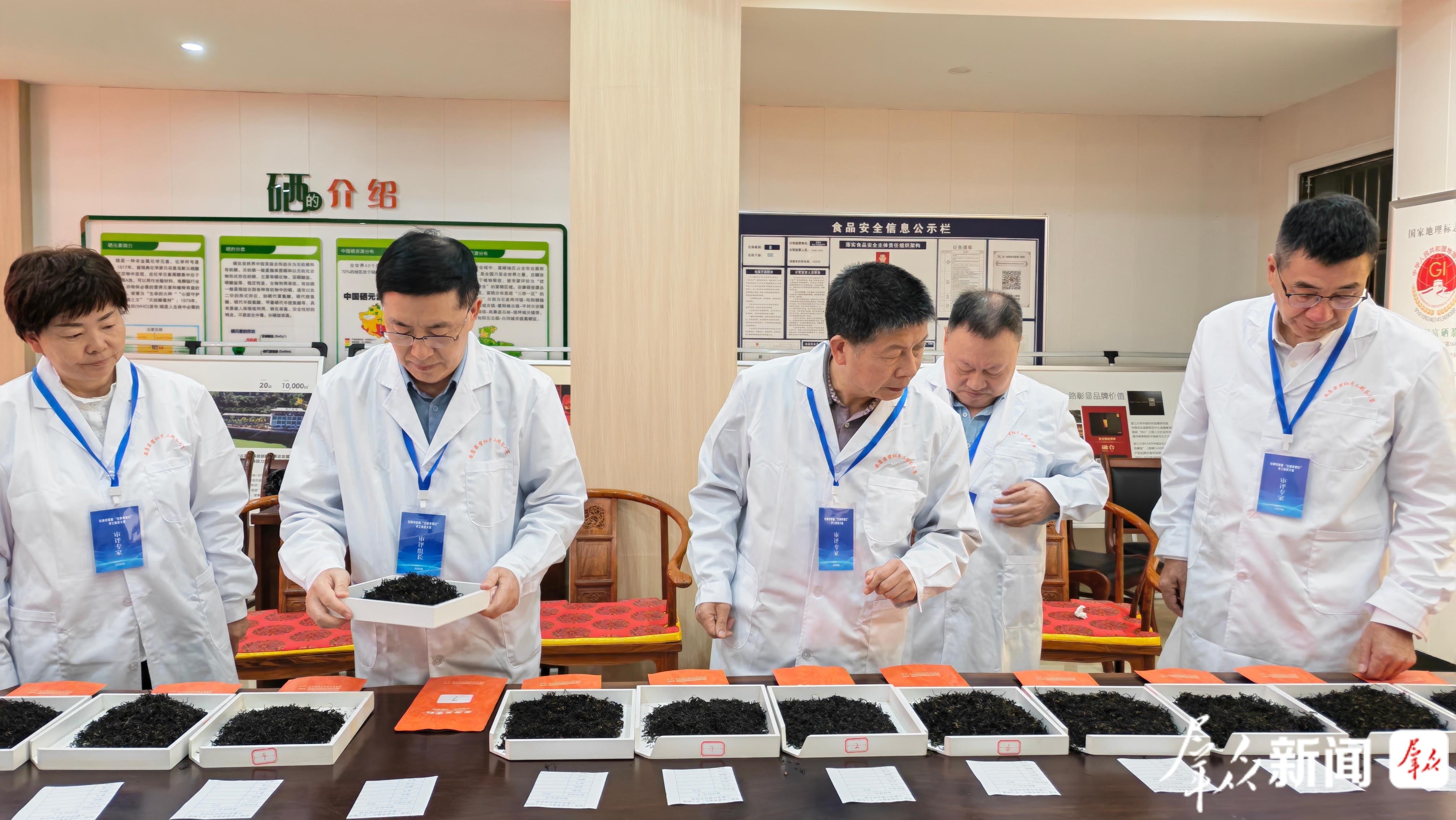 图为大赛评审现场。