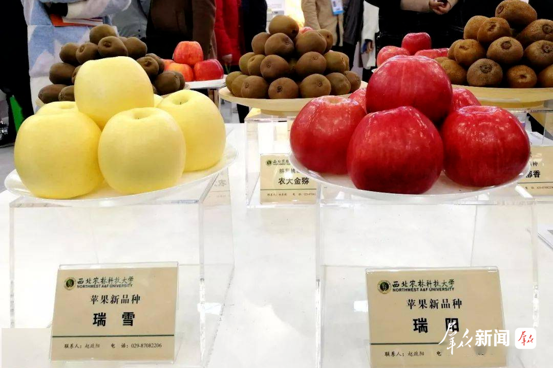 杨凌果品展将亮相第33届杨凌农高会