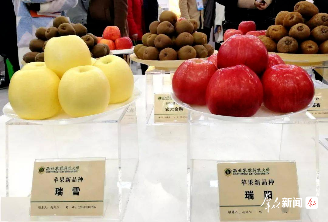 杨凌果品展将亮相第33届杨凌农高会