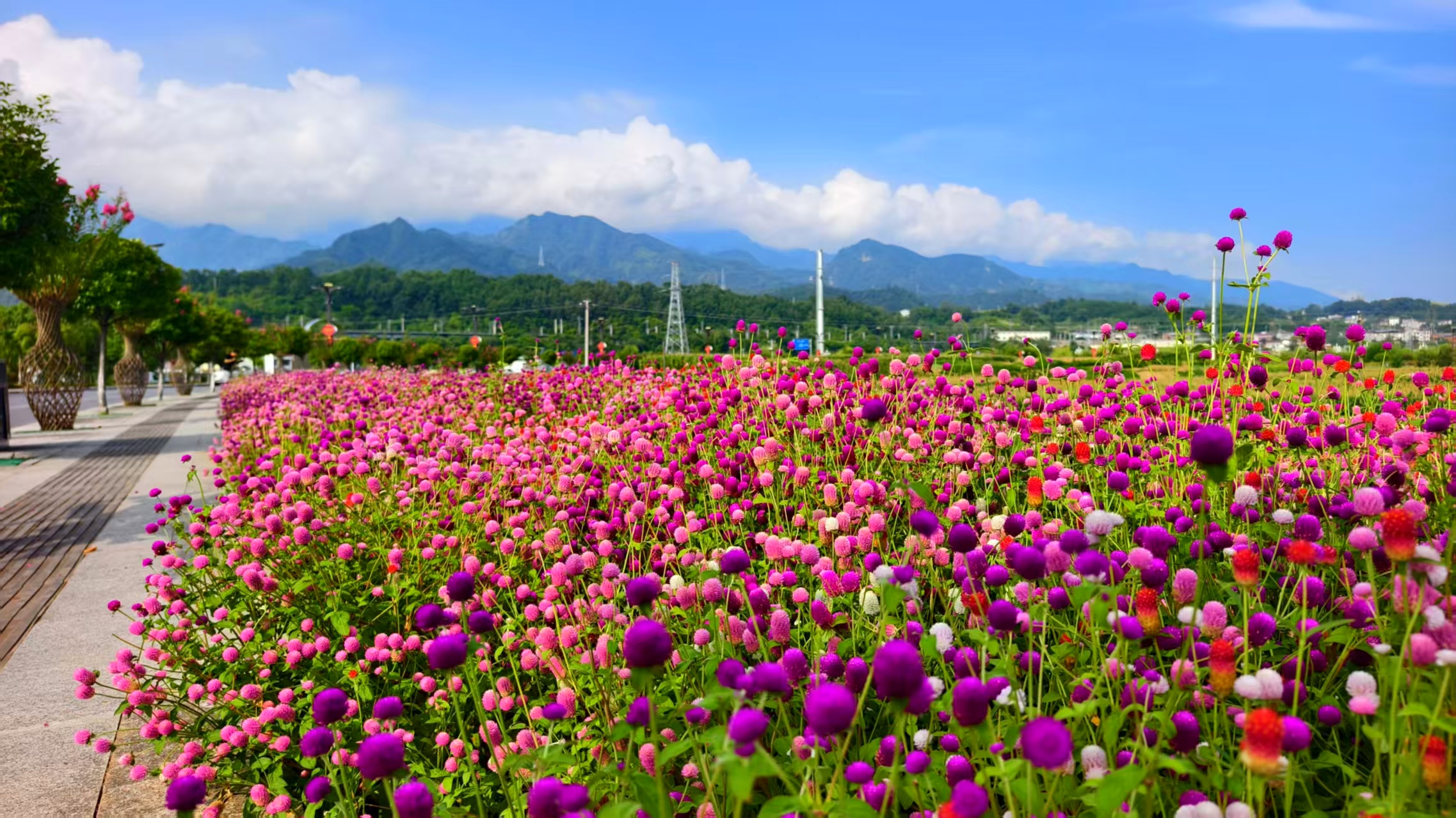 组图 | 西康高铁引客来 花城汉阴焕新彩