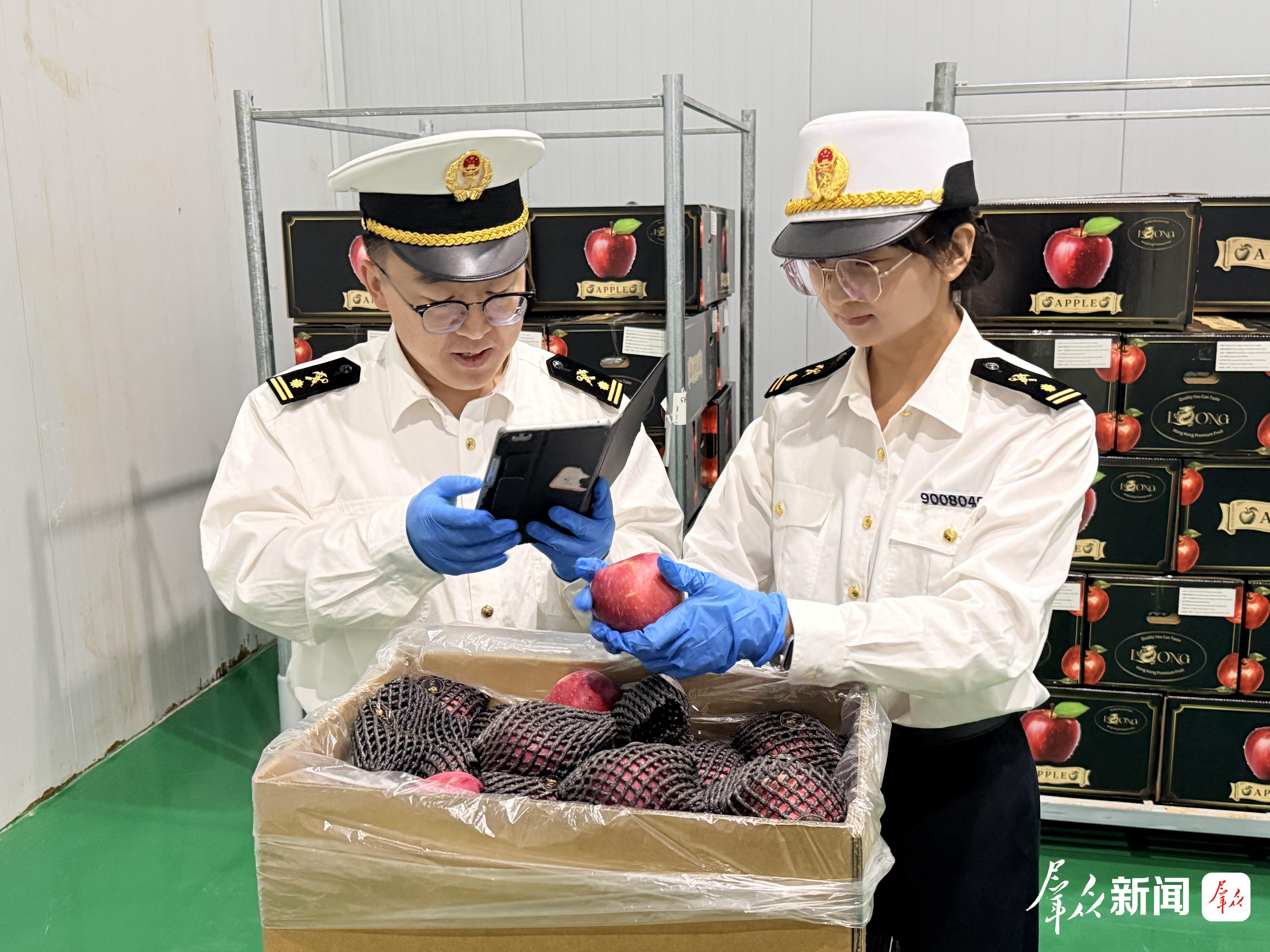 榆林海关关员对出口苹果进行查验