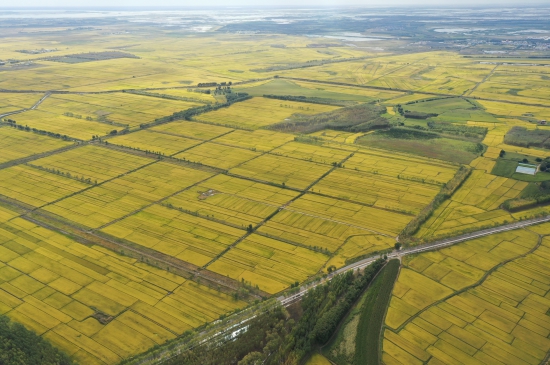 DJI_0836.jpg DJI_0836.jpg
