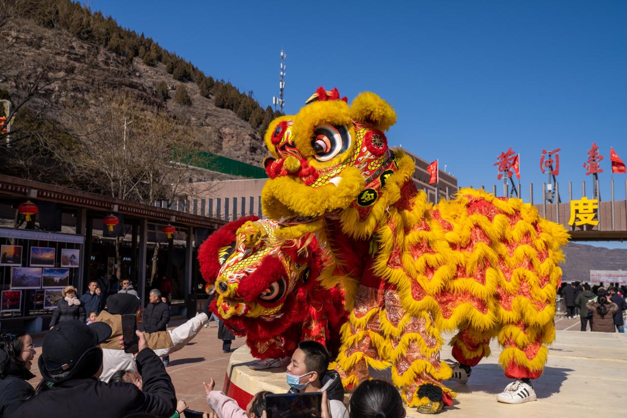 南北雄狮同台！沿黄九省区龙狮高手齐聚陕西壶口“过招”