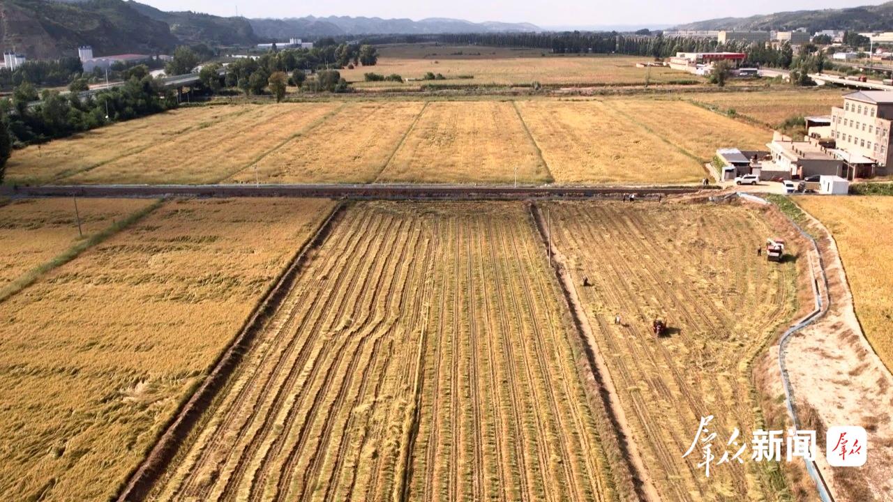 榆阳区镇川镇的广袤良田。