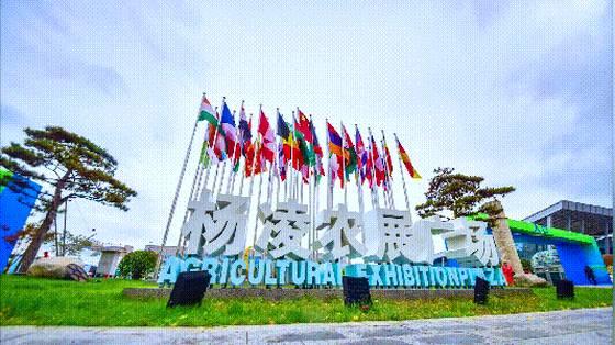 杨凌农展中心万国旗